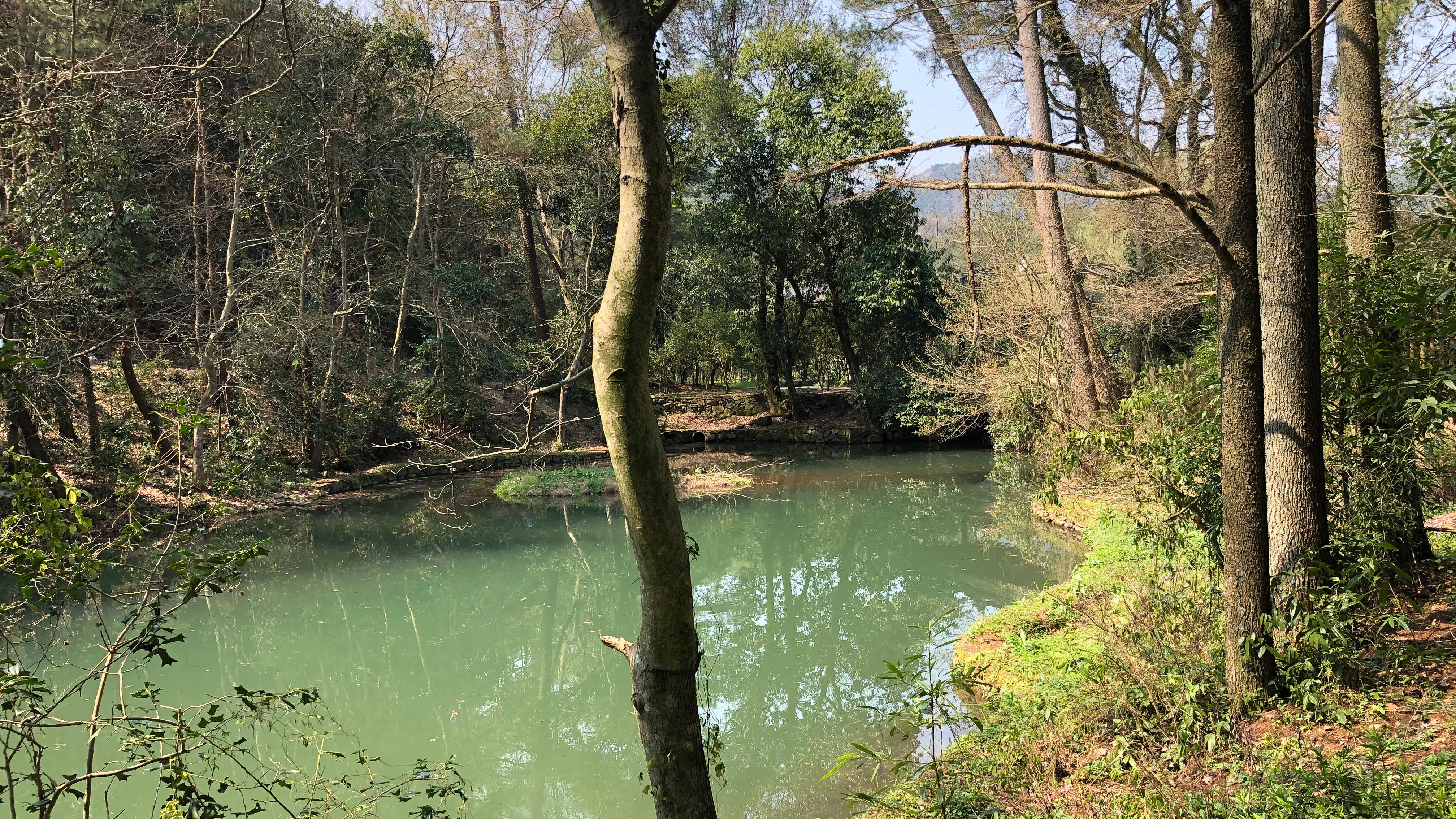 绿水青山